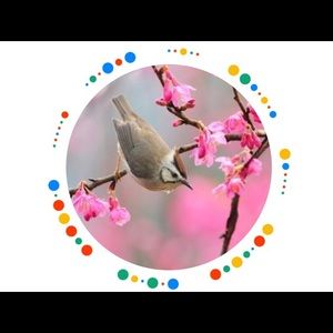 Meet your Posher, Patty